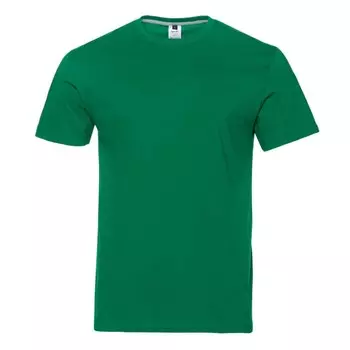 Футболка мужская, размер 56, цвет зелёный
