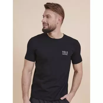 Футболка мужская, размер XL, цвет чёрный