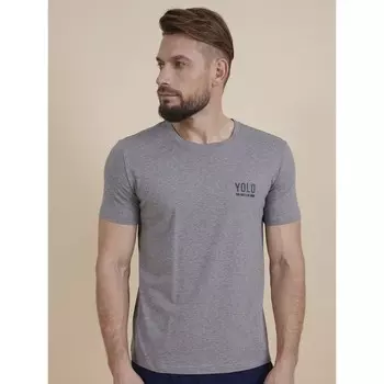 Футболка мужская, размер XXL, цвет серый