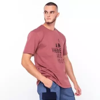 Футболка мужская с принтом, цвет кирпичный, размер 44