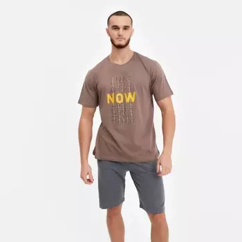 Футболка мужская с принтом, цвет светло-коричневый, размер 54