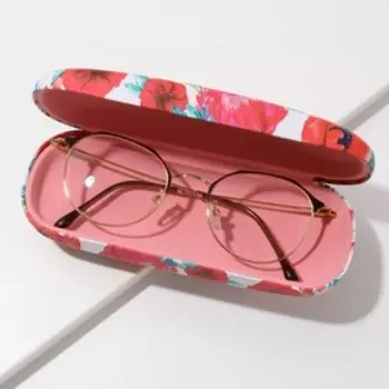 Футляр для очков Dream