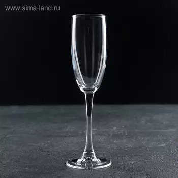 Фужер для шампанского Paabahe Enoteca, 170 мл, стекло, прозрачный