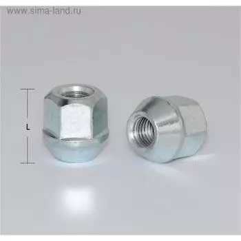 Гайка M12x1,25, 25, hex19, конус, открытая, цинк