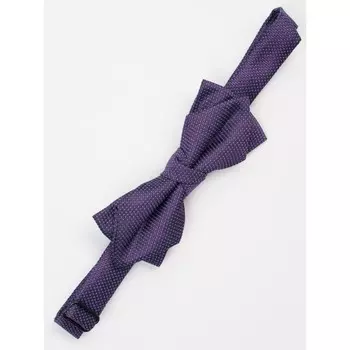 Галстук-бабочка для мальчиков Isee, цвет фиолетовый, голубой