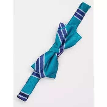 Галстук-бабочка для мальчиков Isee, цвет зелёный