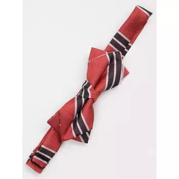 Галстук-бабочка для мальчиков Isee, цвет красный