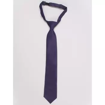 Галстук для мальчиков Isee, цвет фиолетовый, голубой