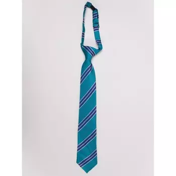 Галстук для мальчиков Isee, цвет зелёный