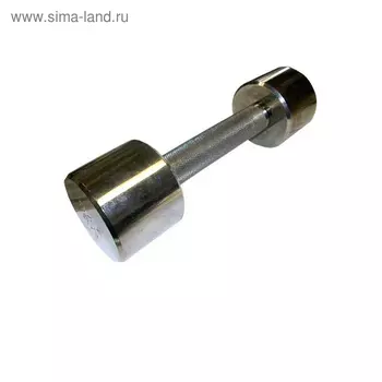 Гантель «Фитнесс» 6 кг, хром