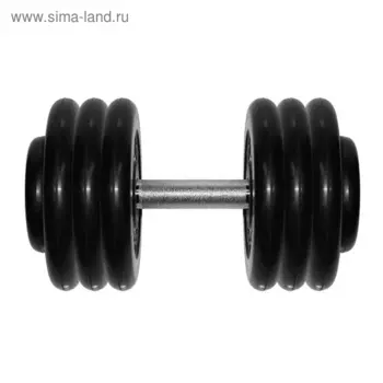 Гантель «Профи» 36 кг