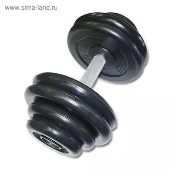 Гантель «Профи» 38,5 кг