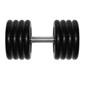 Гантель «Профи» 41 кг