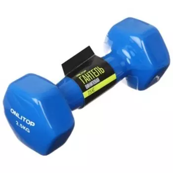 Гантель виниловая ONLYTOP, 2,5 кг, цвет синий