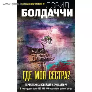 Где моя сестра?. Болдаччи Д.