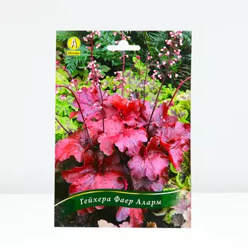 Гейхера Фаер Аларм, 1 шт, Весна 2024