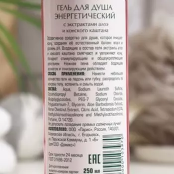 Гель для душа Domix «Энергетический», с экстрактами алоэ и конского каштана, 250 мл
