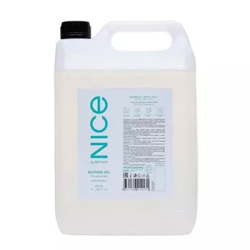 Гель для душа NICE by SEPTIVIT Arctic Chill, 5 л