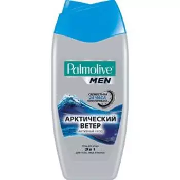 Гель для душа Palmolive Men 3 в 1, «Арктический ветер», 250 мл