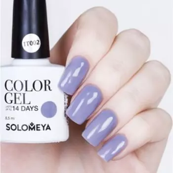 Гель-лак Solomeya Color Gel Wet Stone, 8,5 мл