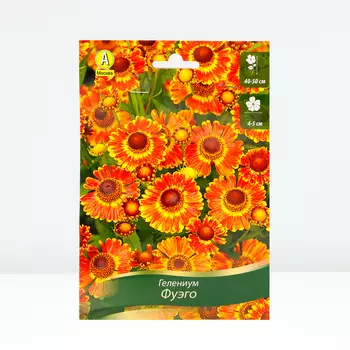 Гелениум Фуэго, 1 шт, Весна 2024