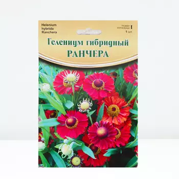 Гелениум "Ranchera ® PBR", р-р I, 1 шт, Весна 2024