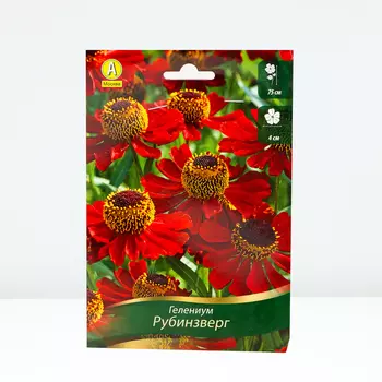 Гелениум Рубинзверг, 1 шт, Весна 2024