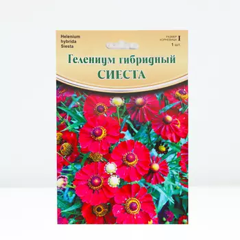 Гелениум "Siesta ® PBR", р-р I, 1 шт, Весна 2024