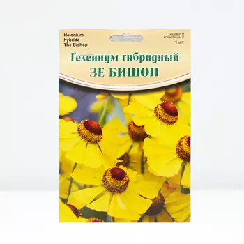 Гелениум "The Bishop", р-р I, 1 шт, Весна 2024