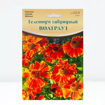 Гелениум "Waltraut", р-р I, 1 шт, Весна 2024