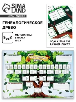 Генеалогическое древо «Моё родословное древо», 90.659.6 см