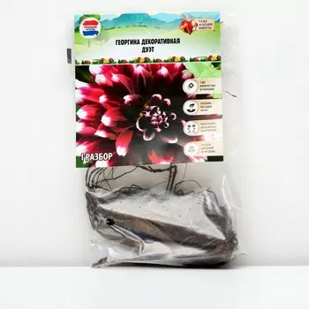 Георгина декоративная "Дуэт", р-р I, 1 шт, Весна 2024