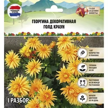 Георгина декоративная "Голд Краун", р-р I, 1 шт, Весна 2024