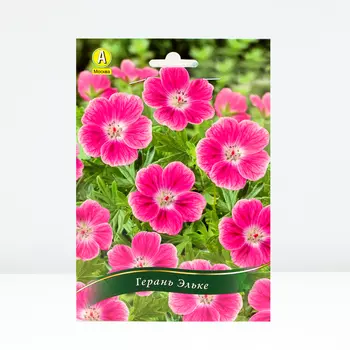 Герань кроваво-красная Эльке, 1 шт, Весна 2024