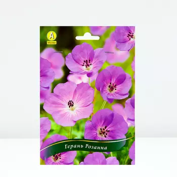 Герань Розанна, 1 шт, Весна 2024