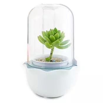 Гидропонная установка, для суккулентов и мхов, HobbyFarm