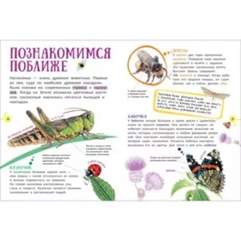 Гигантская энциклопедия для самых маленьких «Животные»