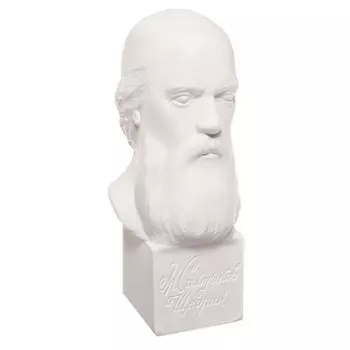 Гипсовая фигура известные люди: Бюст Салтыкова-Щедрина 20 х 9,5 х 10,5 см