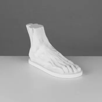 Гипсовая фигура анатомическая: стопа анатомическая, 28 х 11 х 18 см