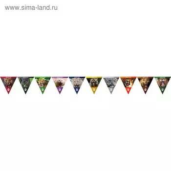 Гирлянда "Дикие кошки", 1х15х152 см