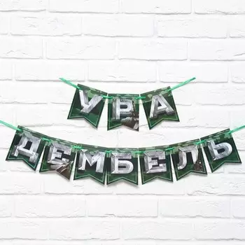 Гирлянда на ленте «Дембель», длина 250 см