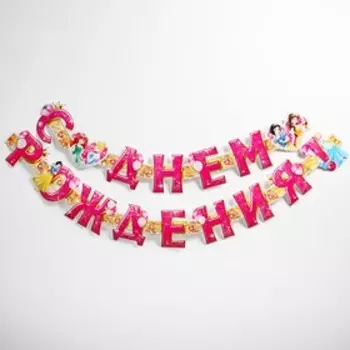 Гирлянда на люверсах "С Днем Рождения!", длина 235 см, Принцессы