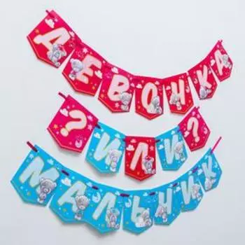 Гирлянда поздравительная "Девочка или мальчик", 2 м, Me To You
