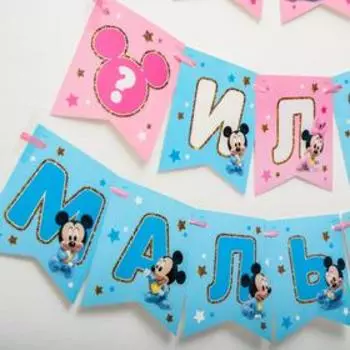 Гирлянда на ленте на гендер пати «Девочка или мальчик», длина 3 м, Дисней беби