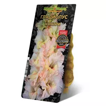 Гладиолус Кантри , р-р 10/12, 5 шт, Весна 2025