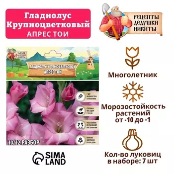 Гладиолус Крупноцветковый "Apres Toi", р-р 8/10, 7 шт , Весна 2025