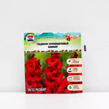 Гладиолус крупноцветковый "Бонфайр", р-р 8/10, 7 шт, Весна 2025