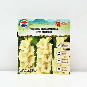 Гладиолус крупноцветковый "Крим Перфекшн", р-р 8/10, 7 шт, Весна 2025