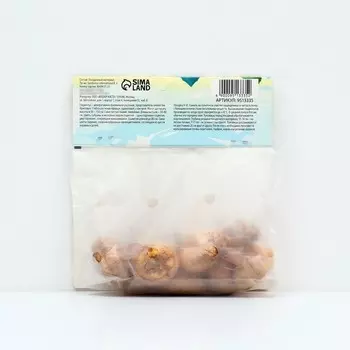 Гладиолус Крупноцветковый "Ovatie", р-р 8/10, 7 шт , Весна 2025