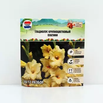 Гладиолус Крупноцветковый "Платини", р-р 8/10, 7 шт, Весна 2025